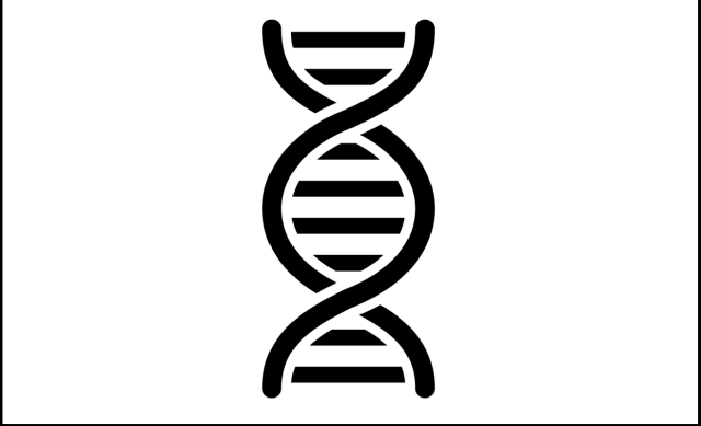 Icon image of DNA strand