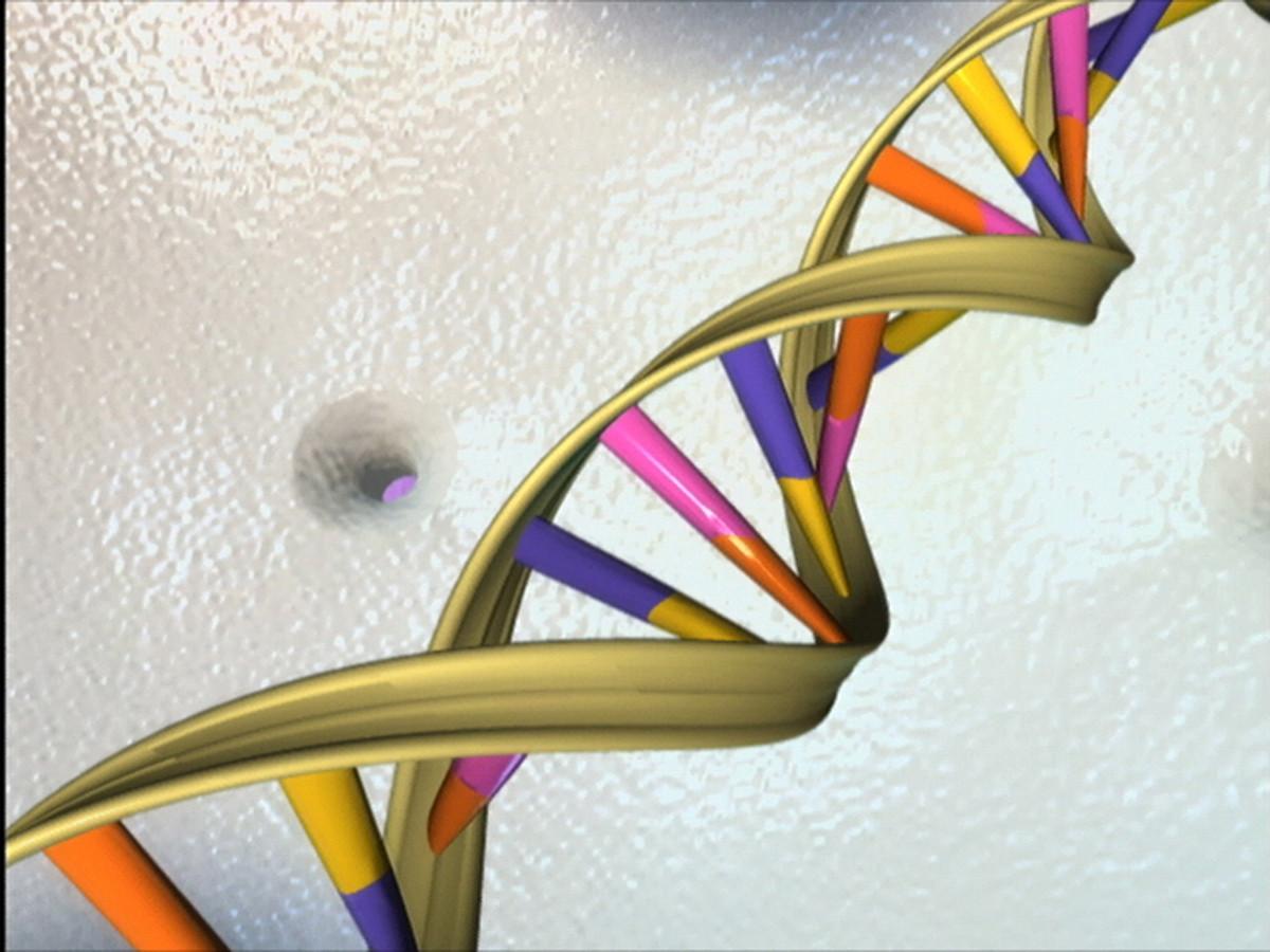 DNA illustration