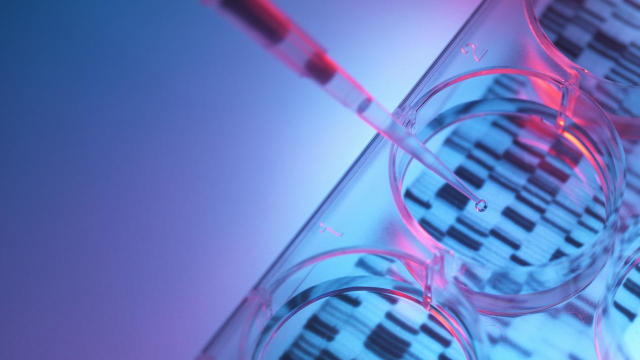 Pipetting sample into tray for DNA testing 