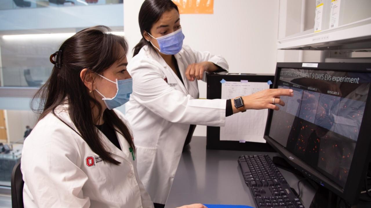 Two scientists review computer screen