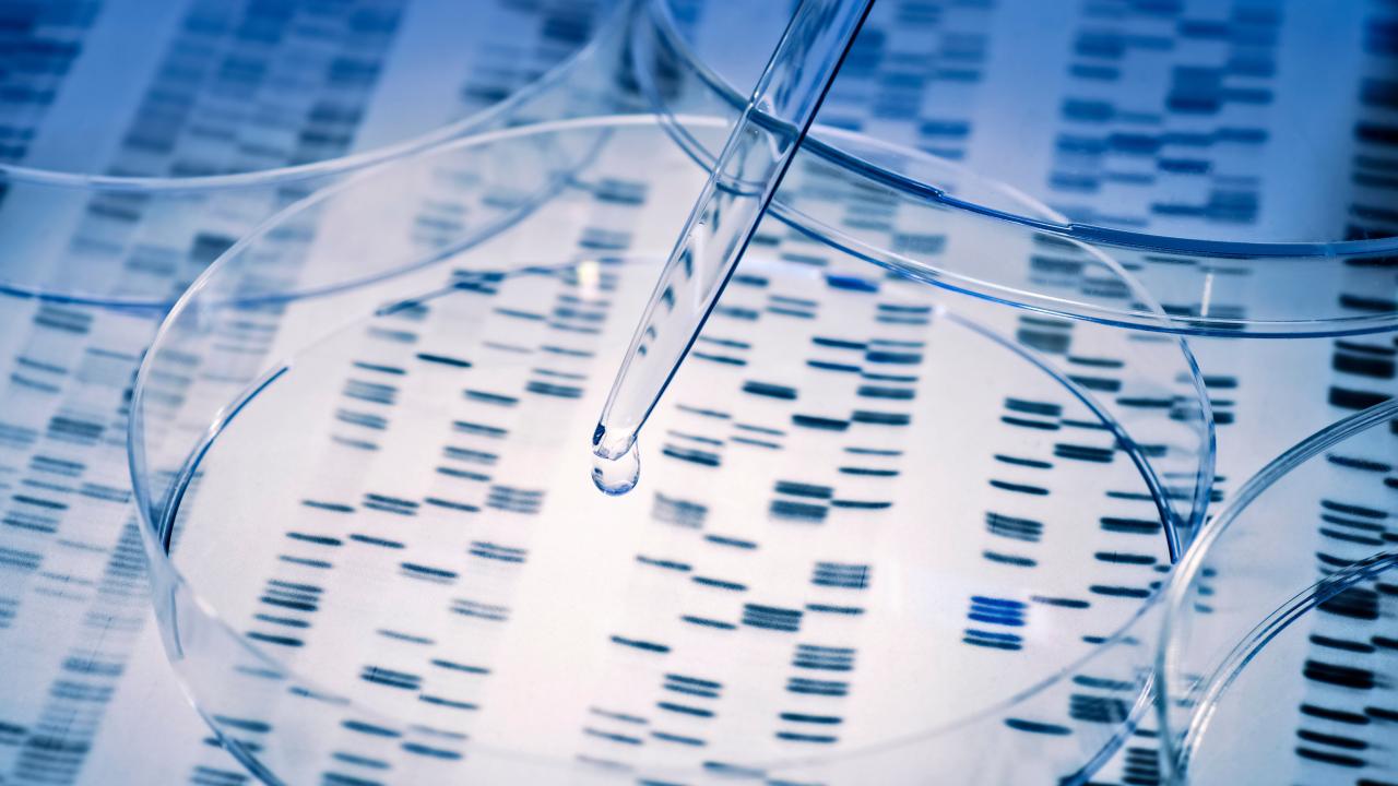 DNA sequence seen through plastic petri dish